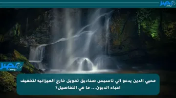 محيي الدين يدعو إلى تأسيس صناديق تمويل خارج الميزانية لتخفيف أعباء الديون… ما هي التفاصيل؟